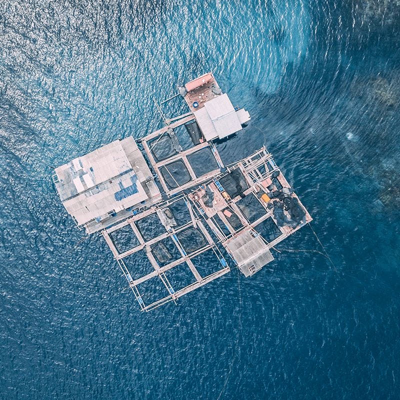 4 Improvements for the Modern Fish Farming Industry